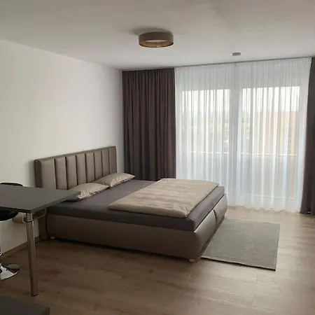 Eine Gemuetliche Einzimmerwohnung * Ostfildern