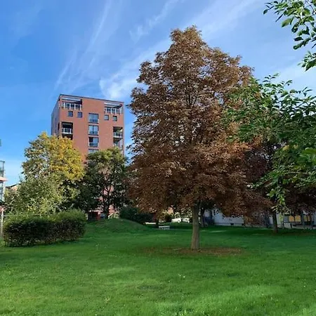 Apartment Eine Gemütliche Einzimmerwohnung *