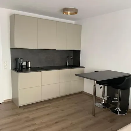 Eine Gemuetliche Einzimmerwohnung Apartment
