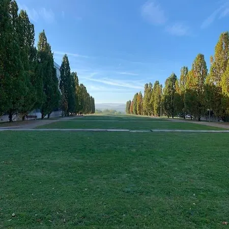 Apartment Eine Gemütliche Einzimmerwohnung Ostfildern