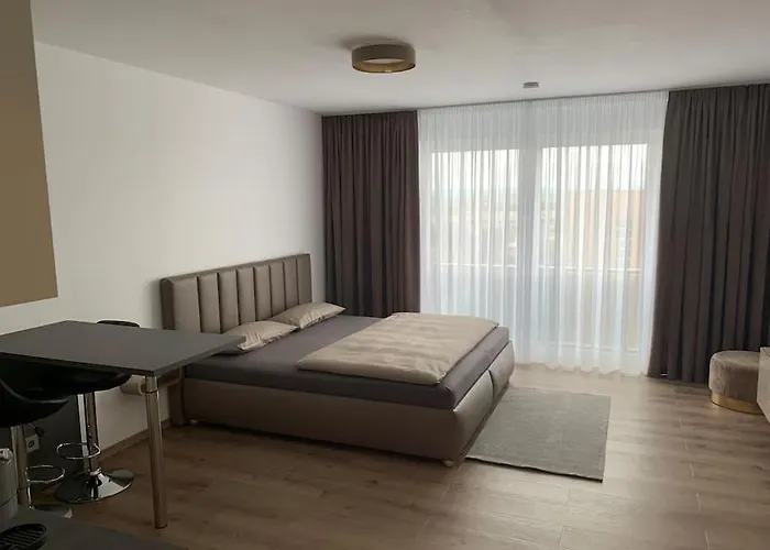 Eine Gemuetliche Einzimmerwohnung * Ostfildern